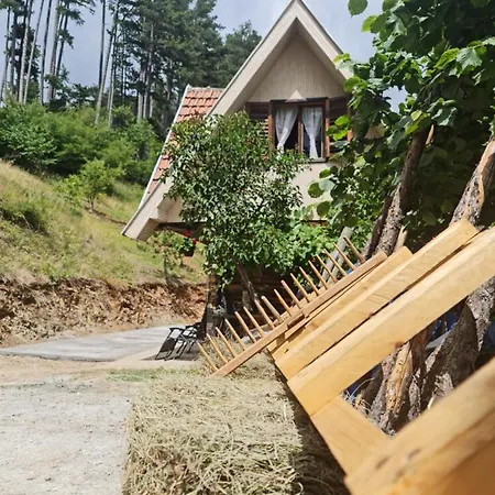 Holiday home Miliceva Ruza *