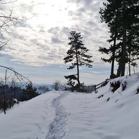 Miliceva Ruza * Zlatibor