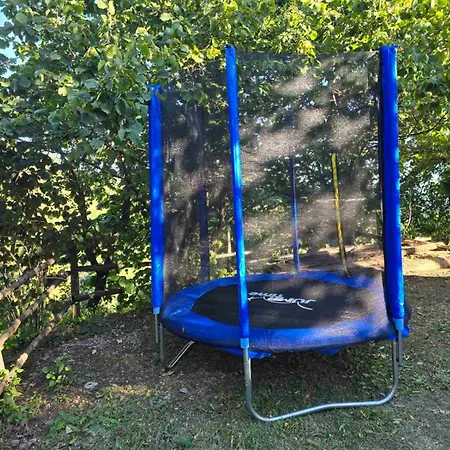 Miliceva Ruza Дом отдыха Златибор