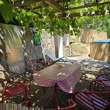 Holiday home Miliceva Ruza Zlatibor