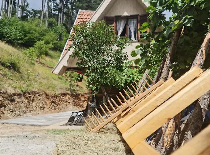 Дом отдыха Miliceva Ruza *