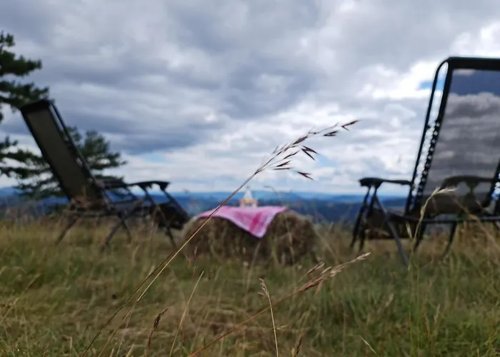 Дом отдыха Miliceva Ruza Златибор