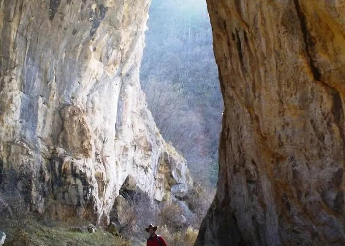 Miliceva Ruza Дом отдыха Златибор