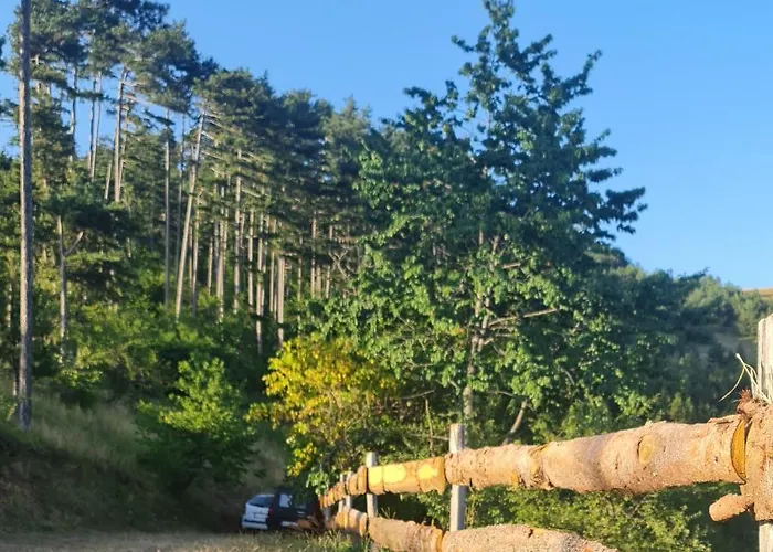 Дом отдыха Miliceva Ruza