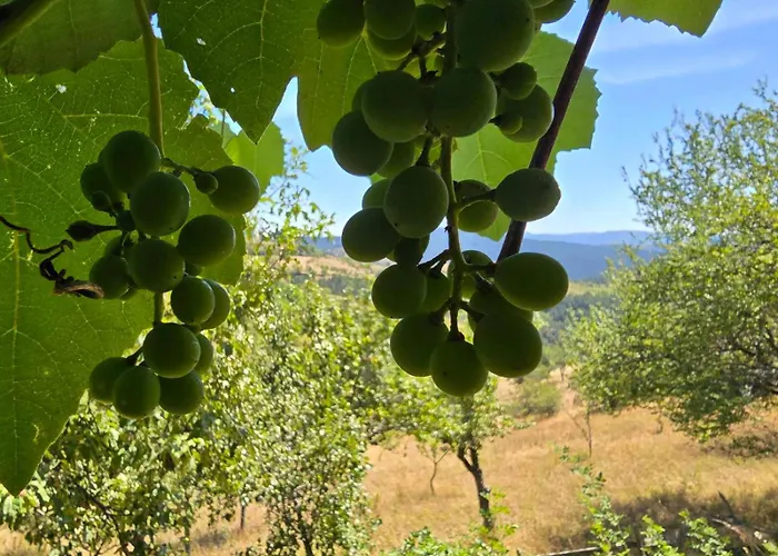 Дом отдыха Miliceva Ruza *