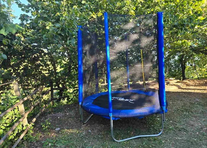 Miliceva Ruza Дом отдыха Златибор